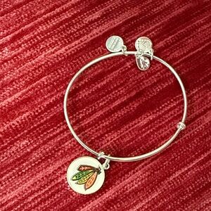 Alex and Ani Silver Chicago Blackhawks Bracelet